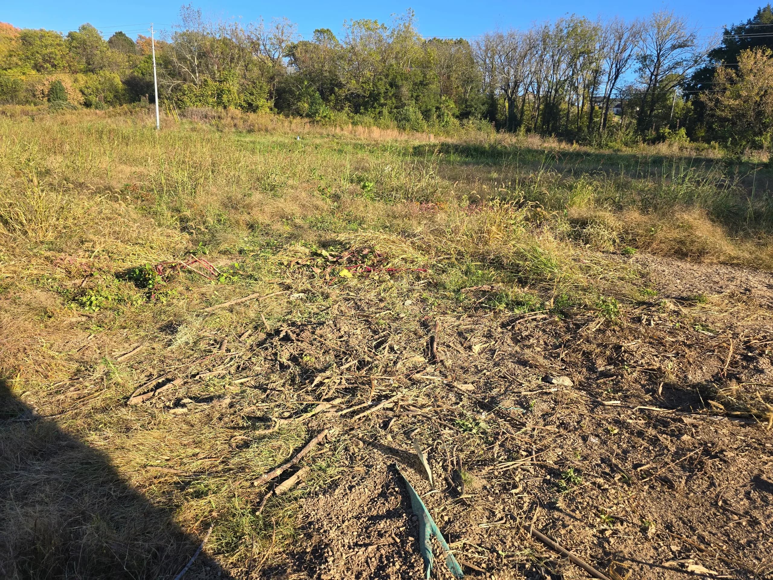 Area cleared after construction debris removal in Kingsport, TN
