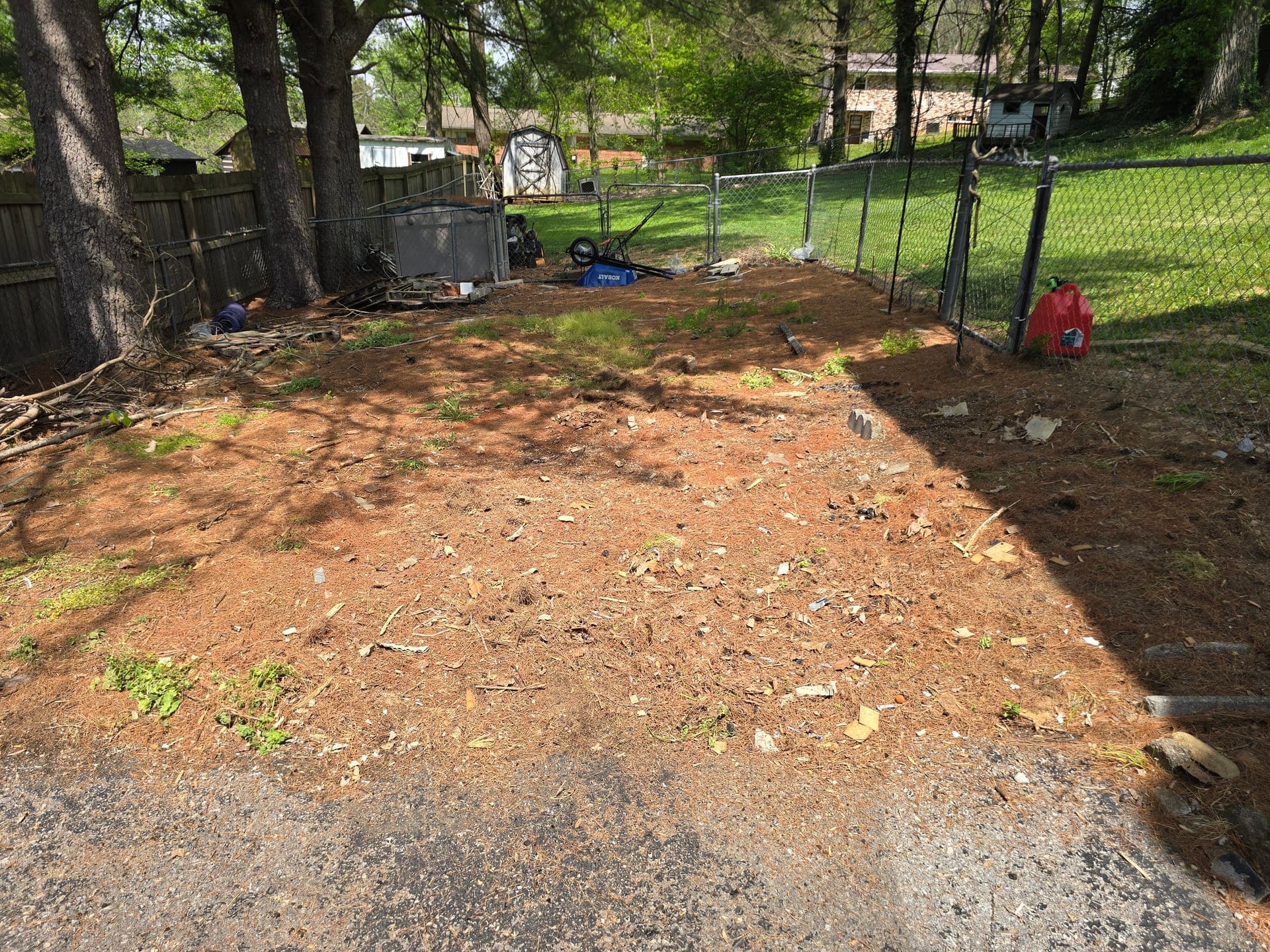 Cleared backyard ground covered in pine needles after construction debris removal