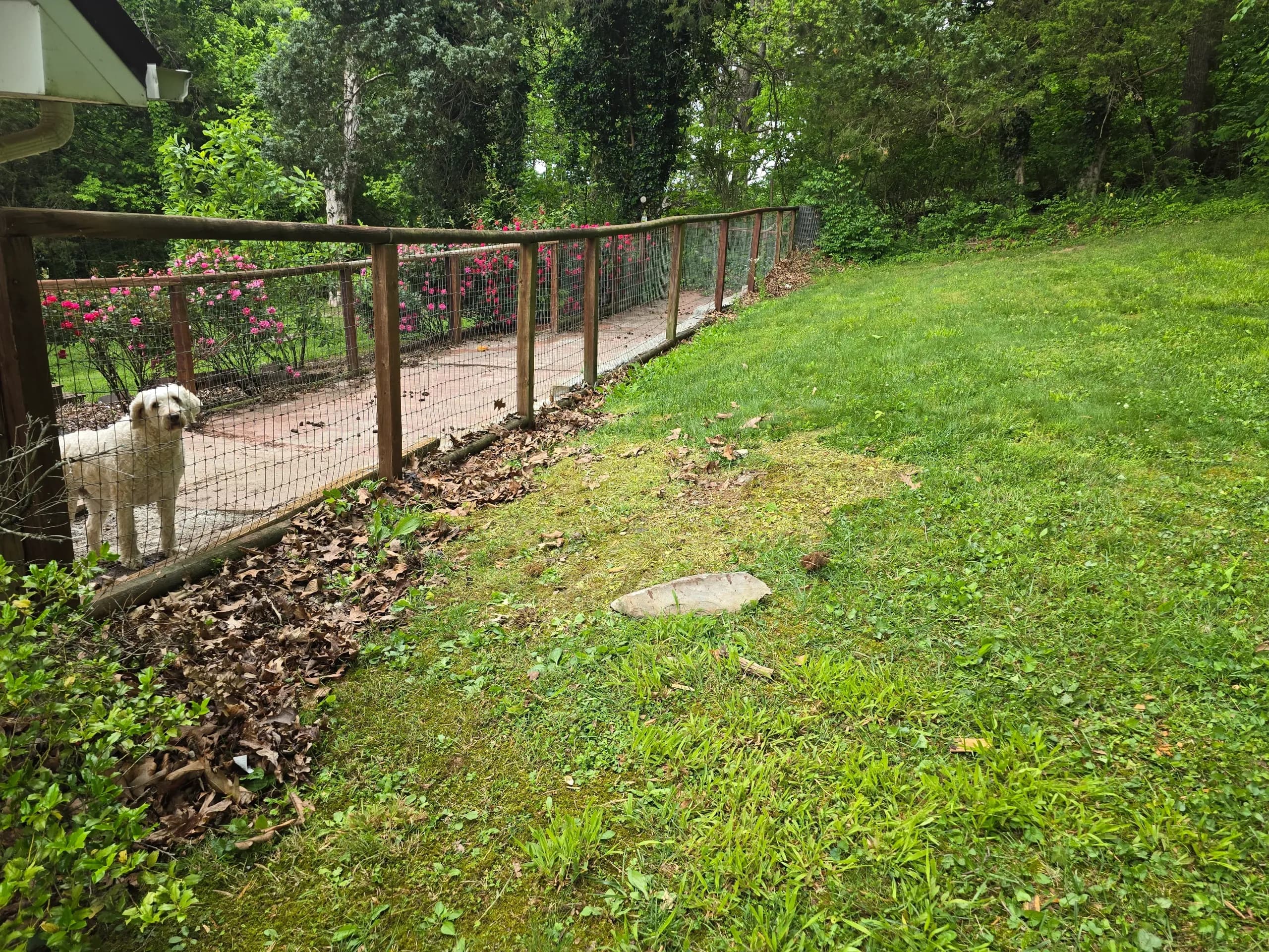 Cleared backyard lawn after construction debris removal by Kraken Junk Removal