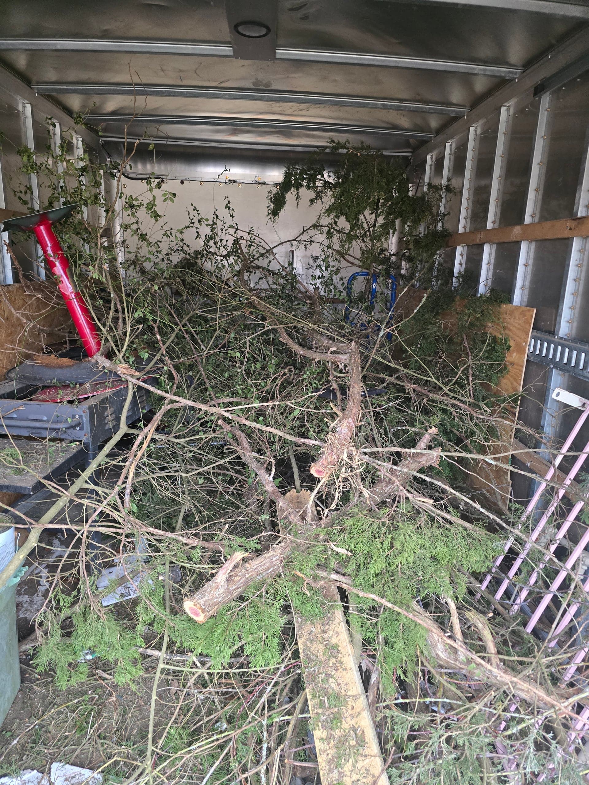 Cut branches, brush, and evergreen limbs piled inside a Kraken Junk Removal truck after a yard debris pickup