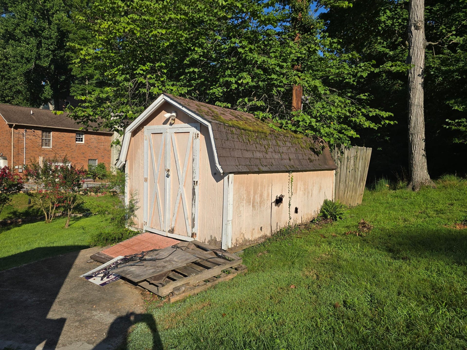 Standard backyard storage shed before removal by Kraken Junk Removal