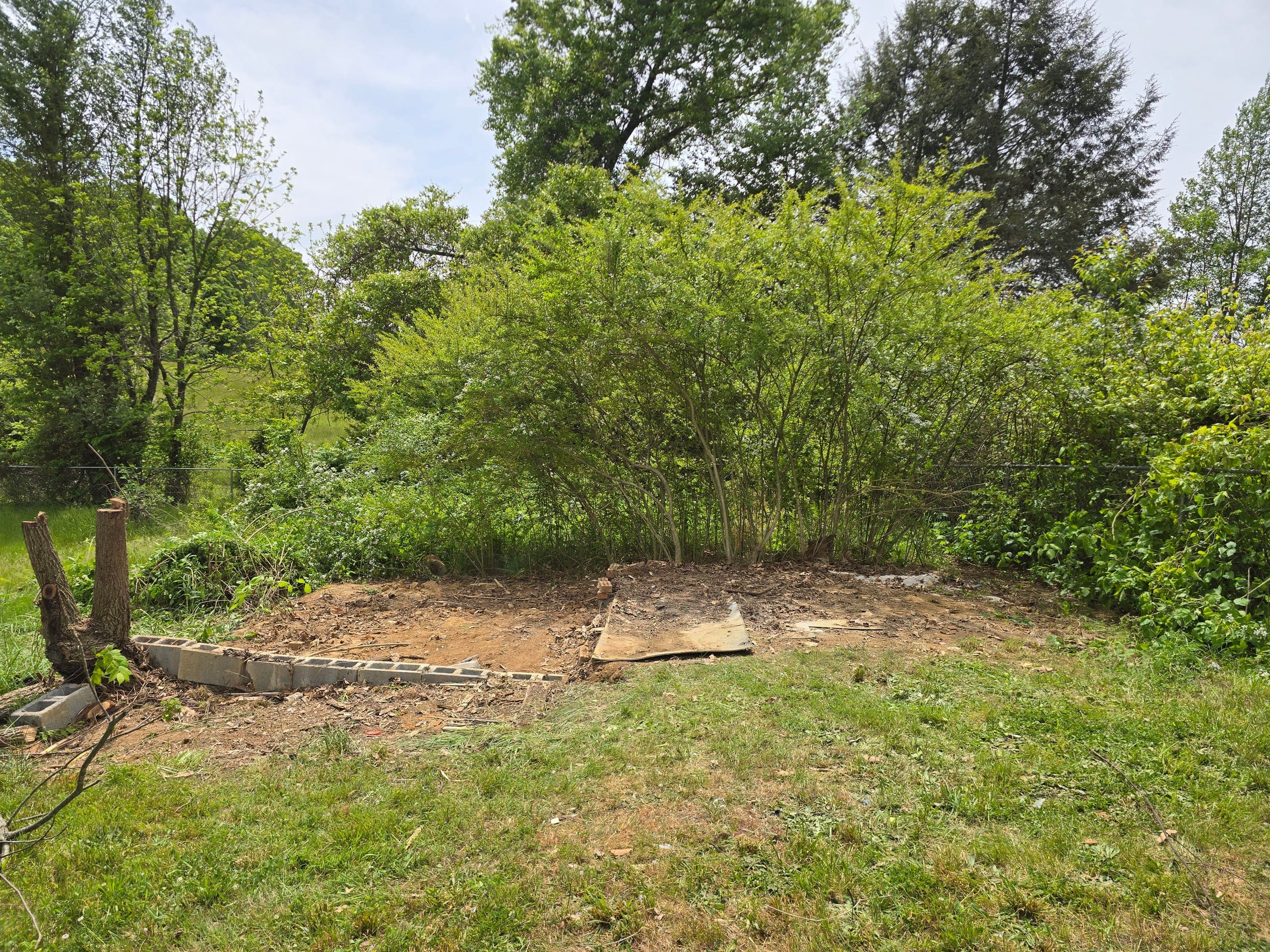 Yard after shed removal in Kingsport, TN