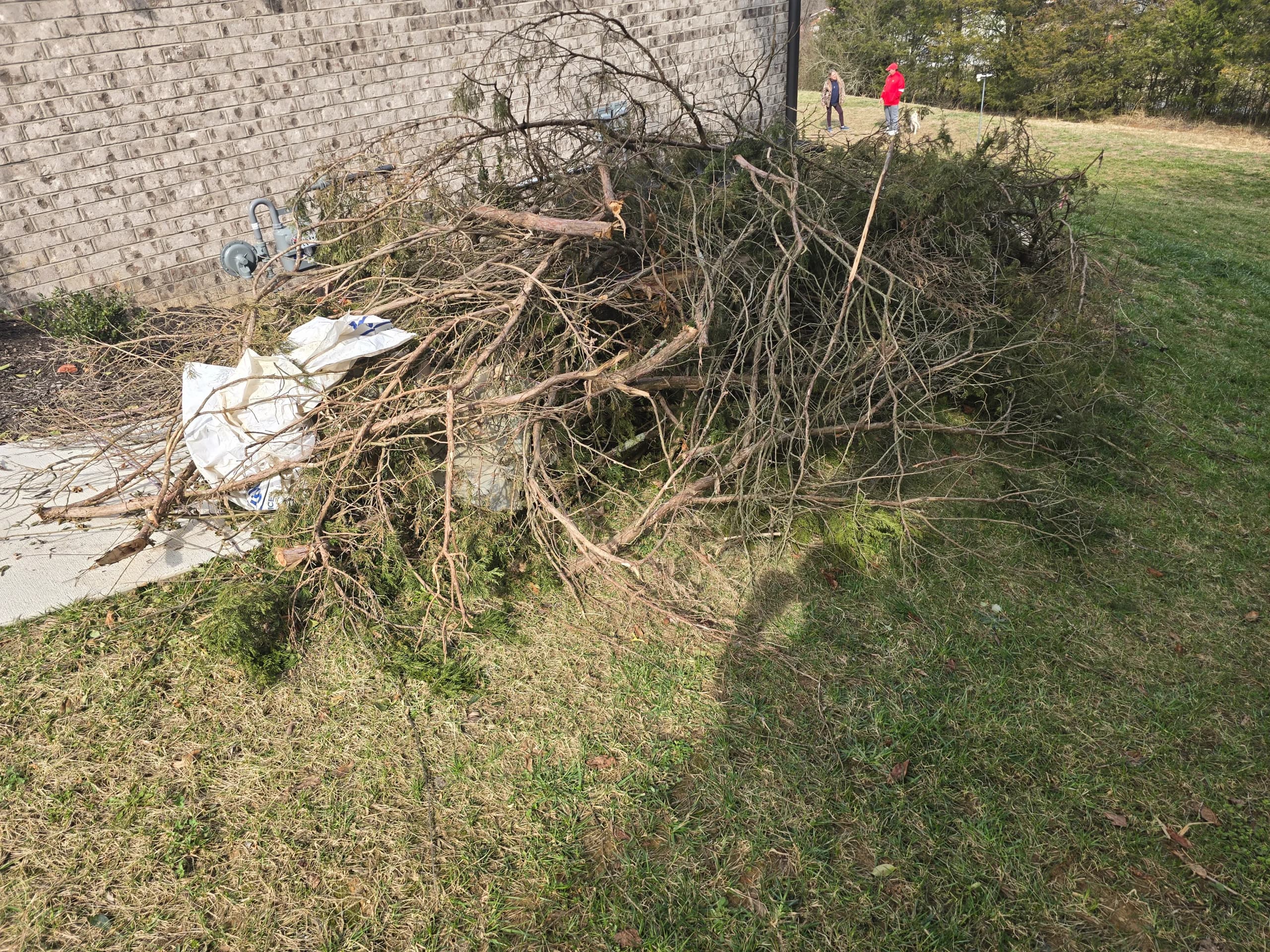 Pile of tree branches and brush against a brick building wall before yard debris removal