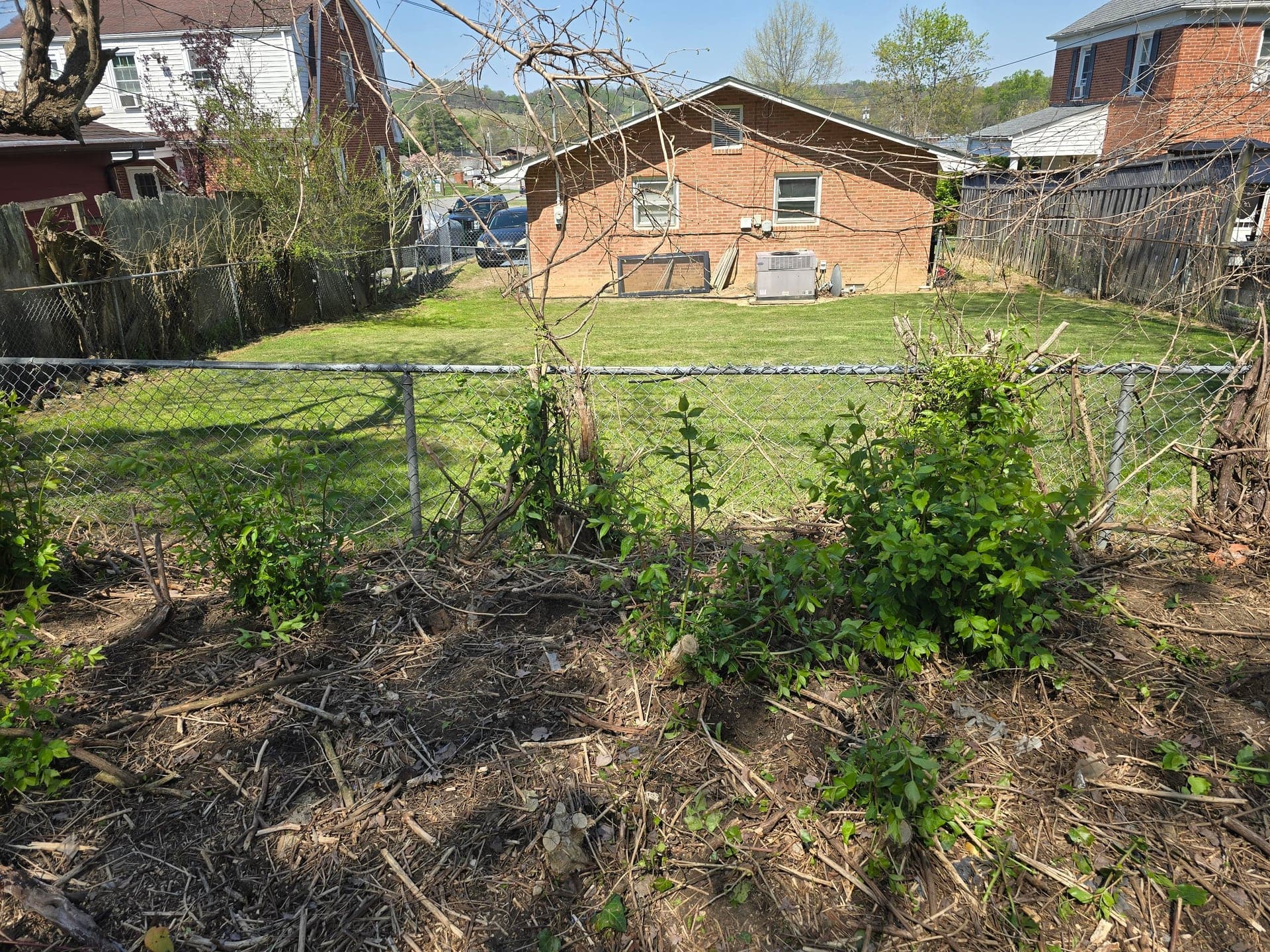 Fallen branches, leaves, and brush covering the ground along a chain-link fence in a residential backyard