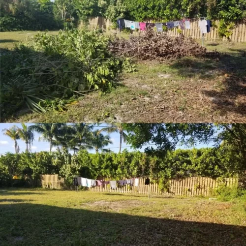 Yard Waste Debris Removal Johnson City, Kingsport, Bristol TN