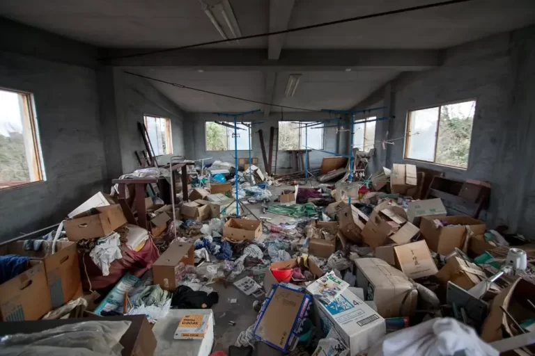 hoarding cleanout near me johnson city tn