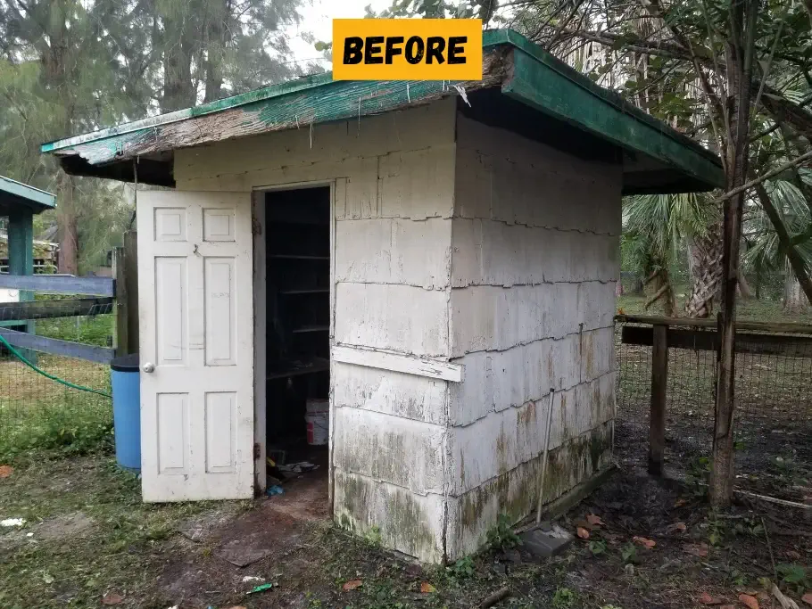 Shed Removal Service Near Me