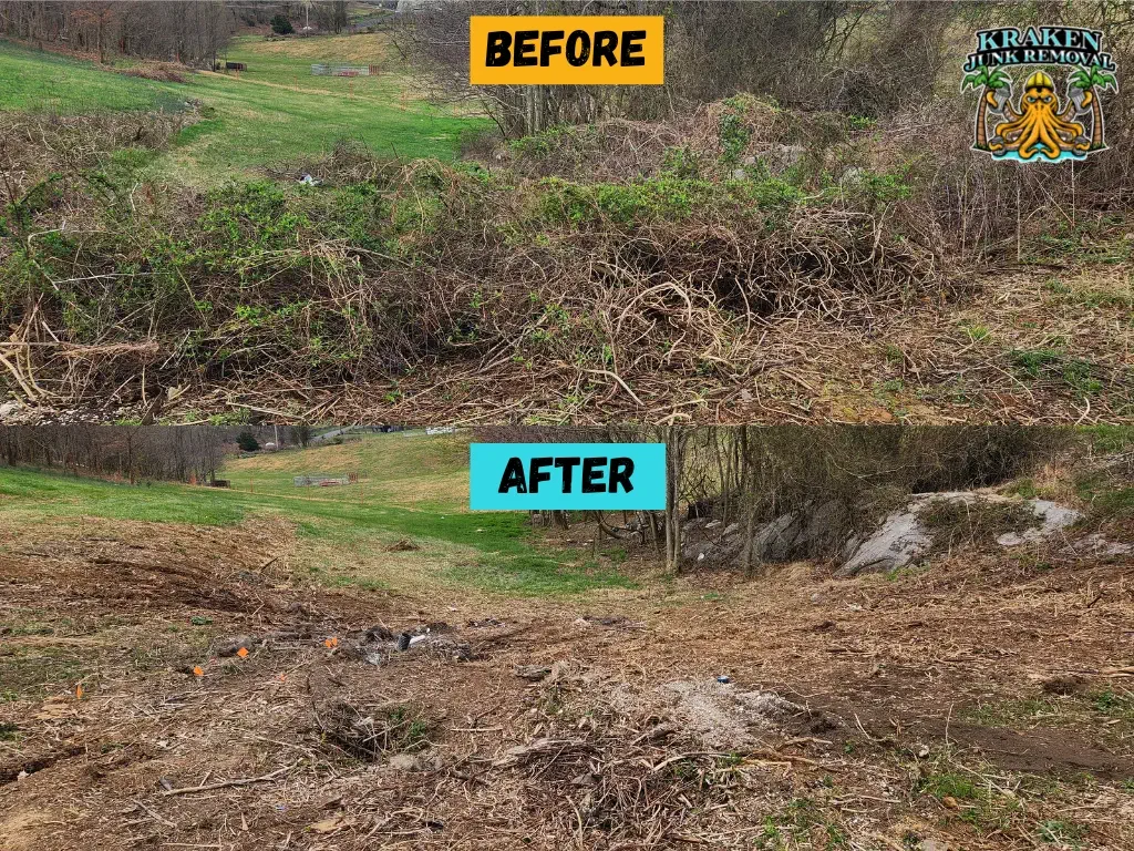 yard debris removal johnson city tennessee