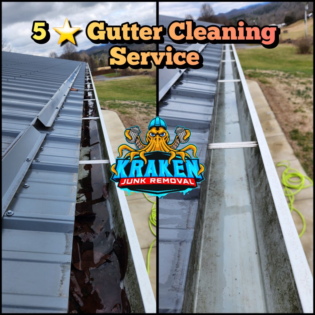 Gutter Cleaning Service Near Me