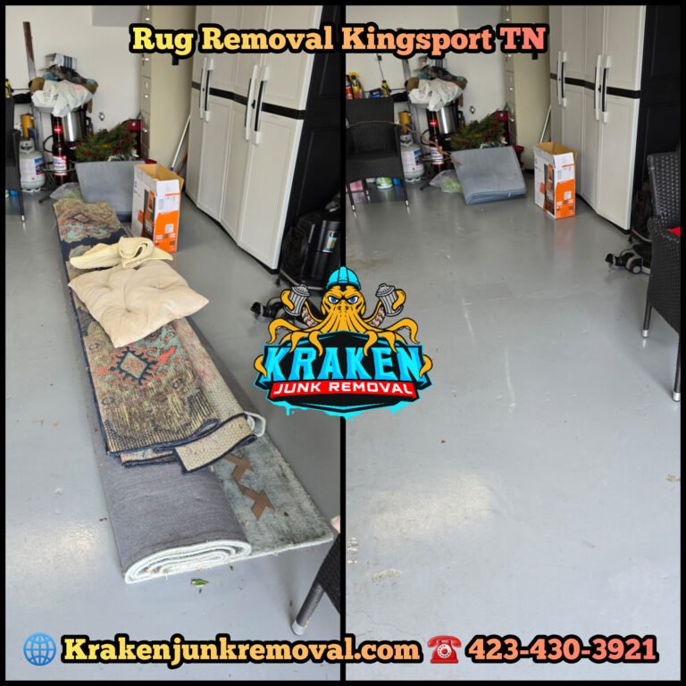 Rug Removal Kingsport TN